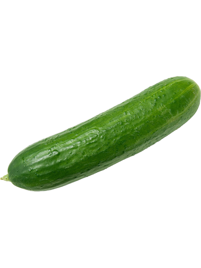 Concombre frais en livraison à Rive-de-Gier | Baby Primeur