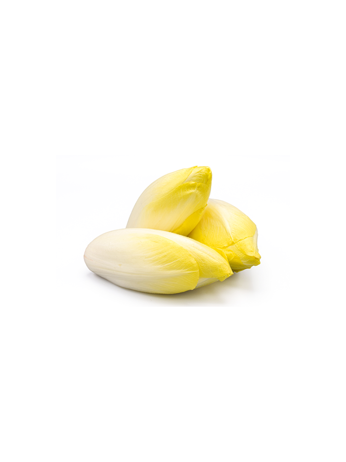 Endives fraîches en livraison à Rive-de-Gier | Baby Primeur