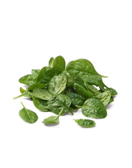 Épinards frais en livraison à Rive-de-Gier | Baby Primeur