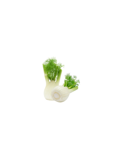 Fenouil frais en livraison à Rive-de-Gier | Baby Primeur