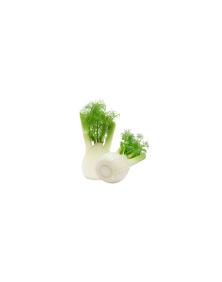 Fenouil frais en livraison à Rive-de-Gier | Baby Primeur