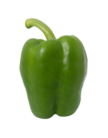 Poivron vert frais en livraison à Rive-de-Gier | Baby Primeur