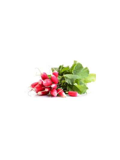 Radis frais en botte en livraison à Rive-de-Gier | Baby Primeur