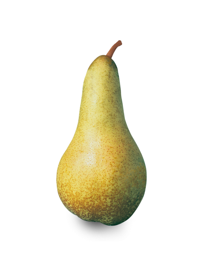Poire Abate fraîche en livraison à Rive-de-Gier | Baby Primeur
