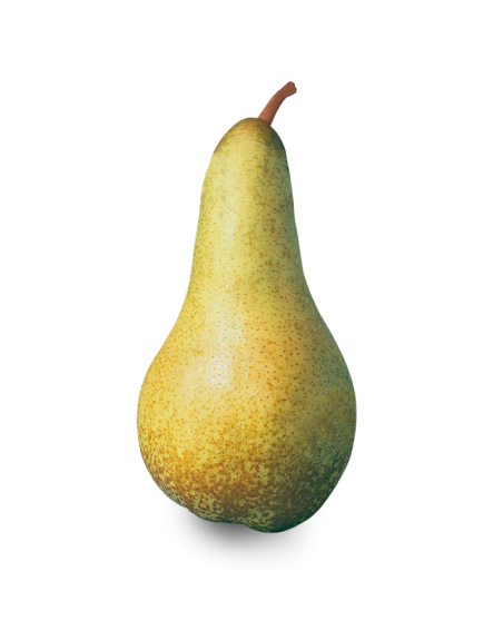 Poire Abate fraîche en livraison à Rive-de-Gier | Baby Primeur
