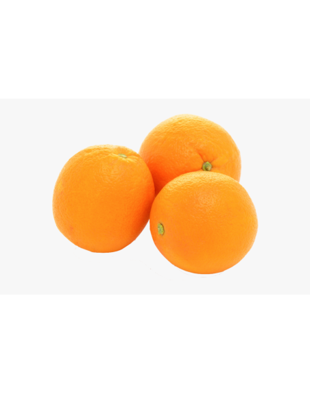 Orange à jus maltaise en livraison à Rive-de-Gier | Baby Primeur