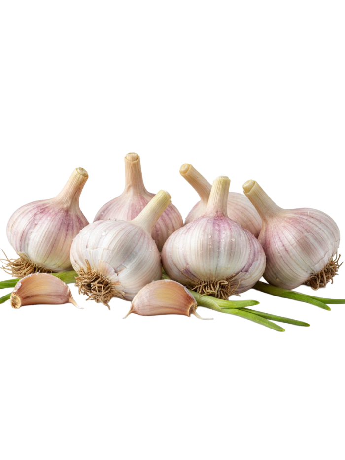 Ail frais en livraison à Rive-de-Gier | Baby Primeur