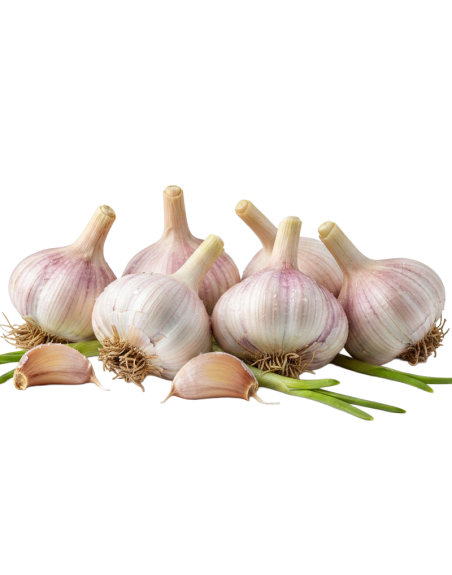 Ail frais en livraison à Rive-de-Gier | Baby Primeur