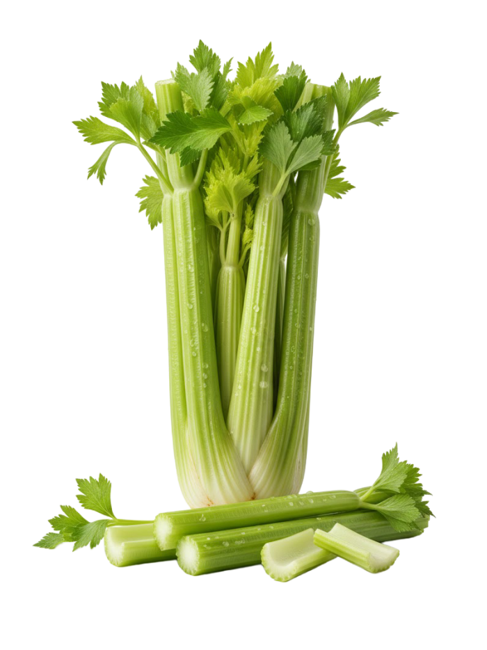 Céleri branche frais en livraison à Rive-de-Gier | Baby Primeur
