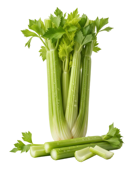 Céleri branche frais en livraison à Rive-de-Gier | Baby Primeur