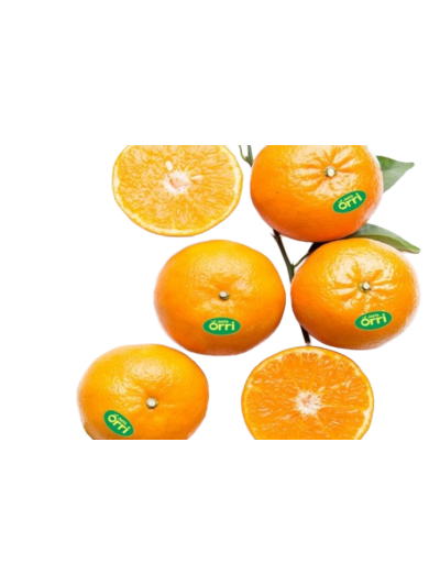 Clémentines Jaffa en livraison à Rive-de-Gier | Baby Primeur