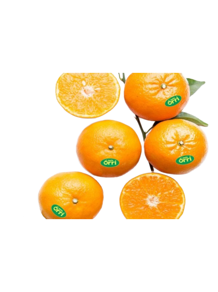 Clémentines Jaffa en livraison à Rive-de-Gier | Baby Primeur